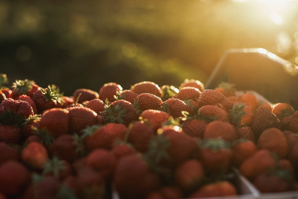 How to: Grow Strawberries - by Benson - Swedish Design