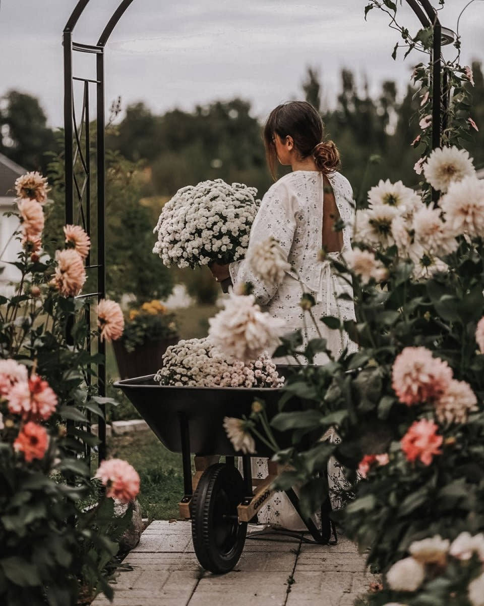 5 simple gardening tips