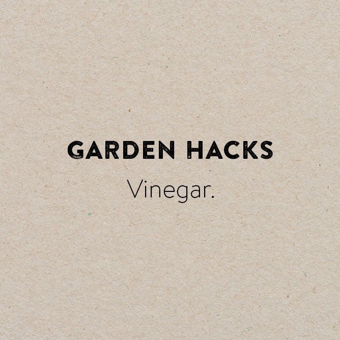 Garden hack: Vinegar - by Benson - Swedish Design