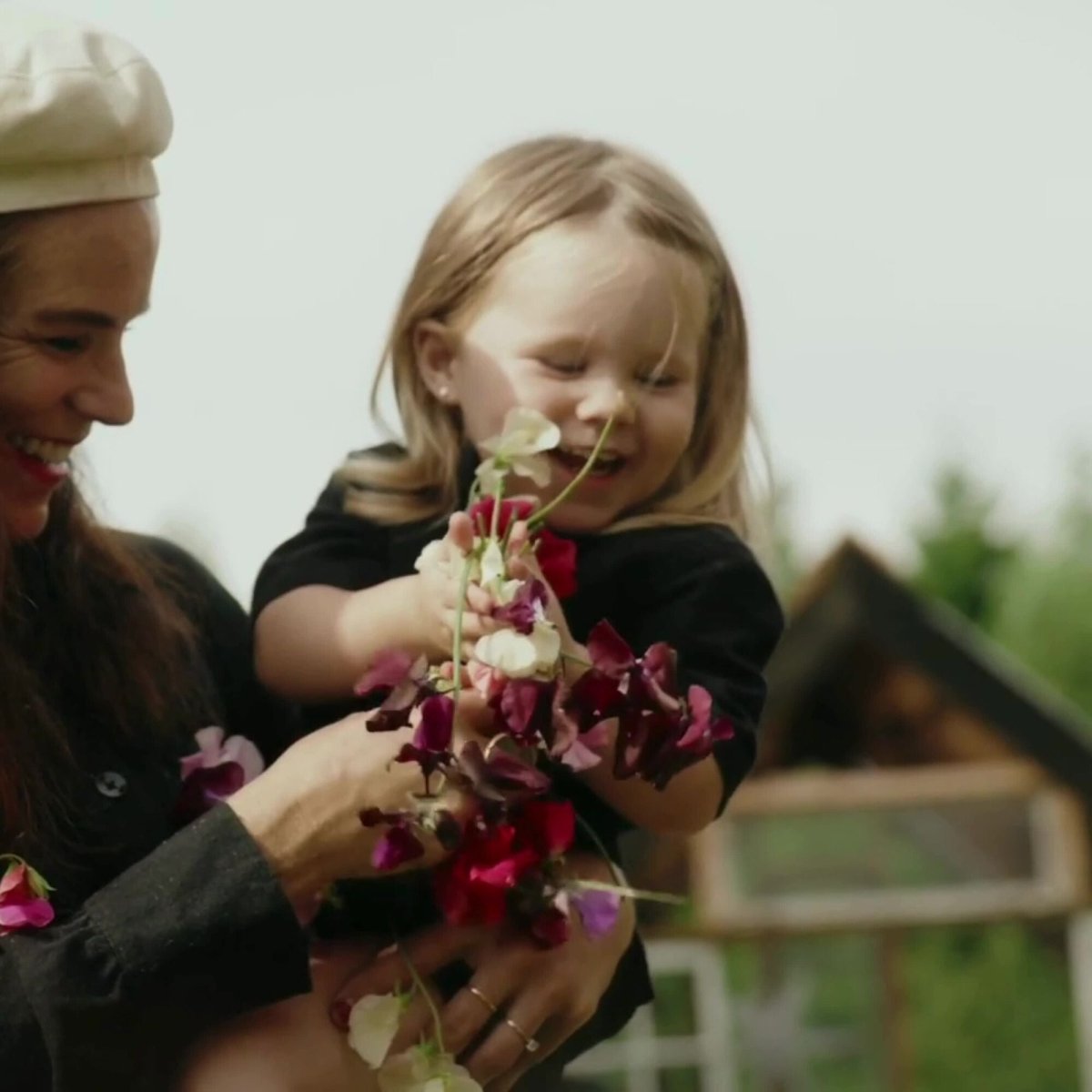 How to: Plant and Care for Fragrant Sweet Peas - by Benson - Swedish Design
