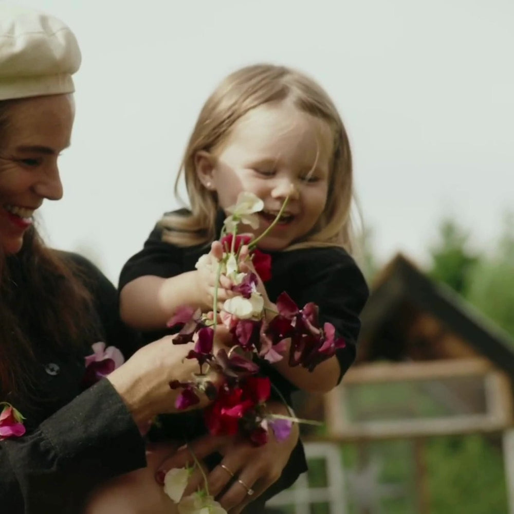 How to: Plant and Care for Fragrant Sweet Peas