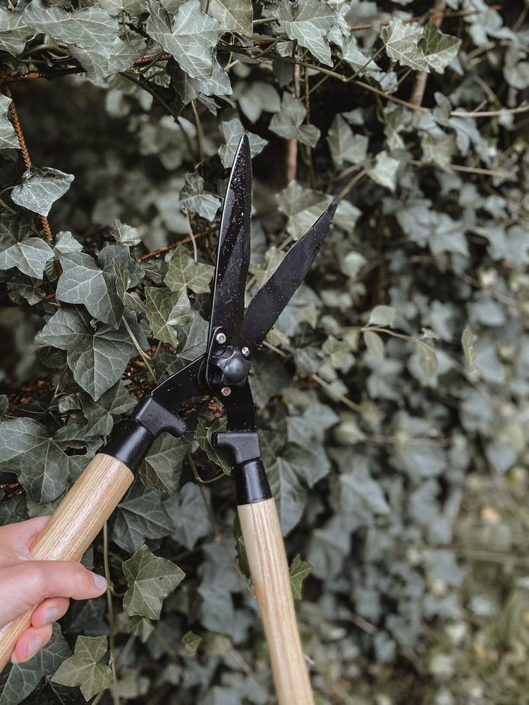 Pruning shears or pruning saw? - by Benson - Swedish Design