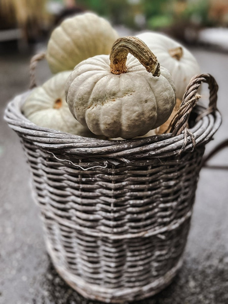 Basket - by Benson - Swedish Design