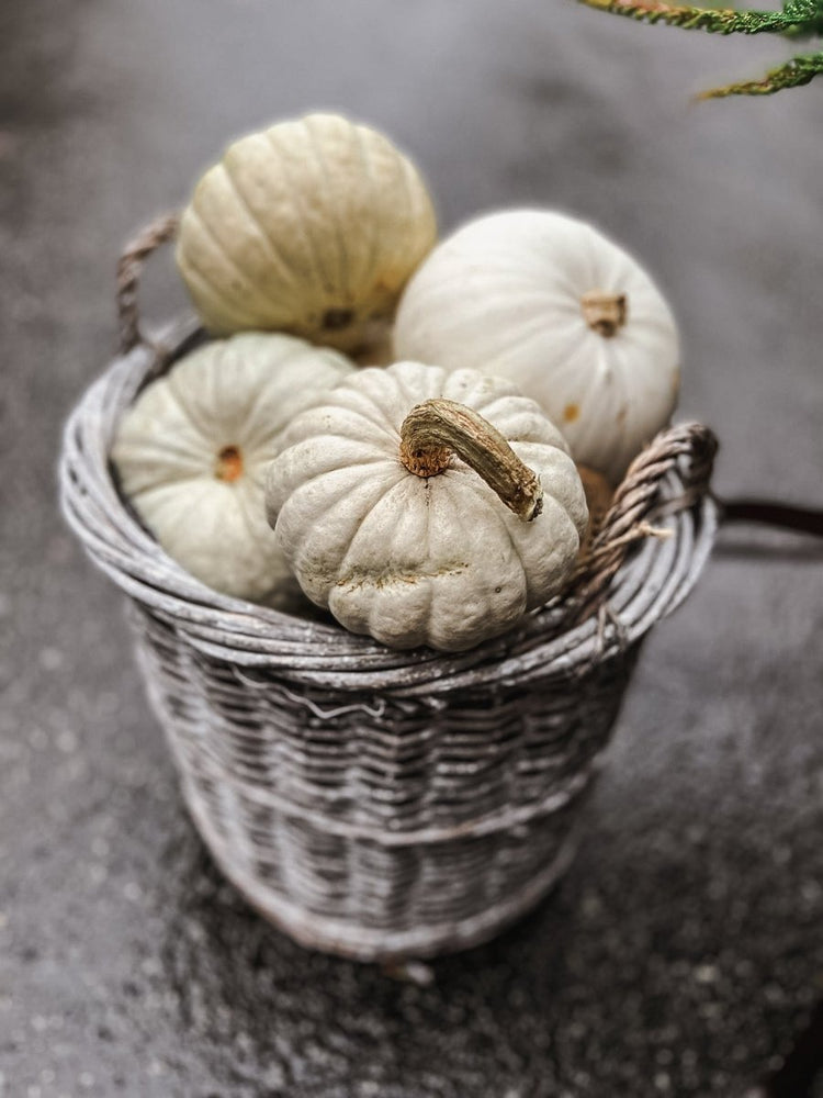 Basket - by Benson - Swedish Design