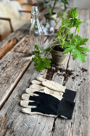 planks handschuhe Gartenhandschuhe Deluxe