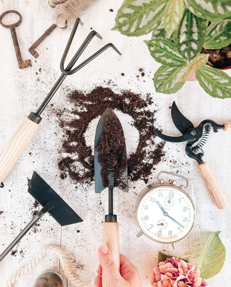 Gardening Hand Tool Set | Planting Spade, Cultivator, Hoe