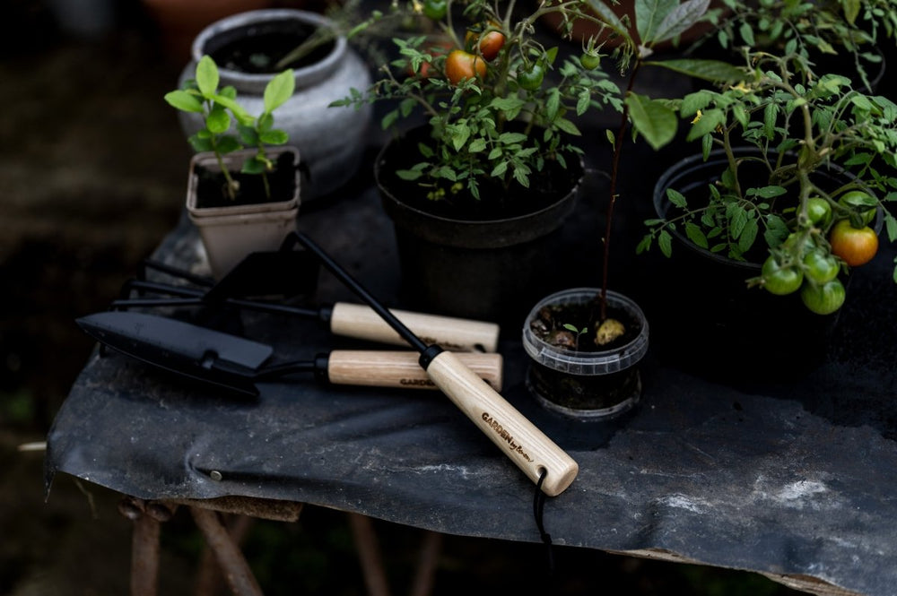 Gardening Hand Tool Set | Planting Spade, Cultivator, Hoe