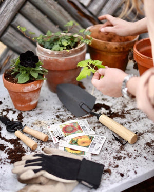 tools for house plants Hand tool Spade Planting