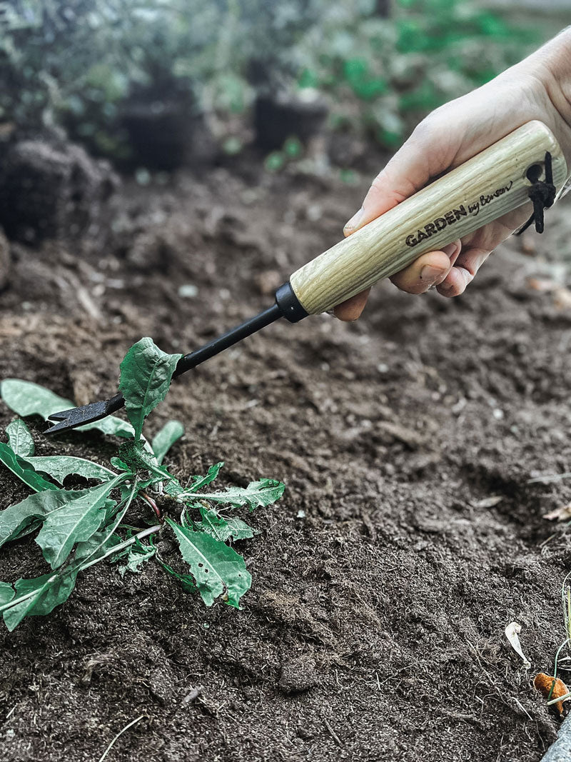 Hand tool Weeder - by Benson - Swedish Design