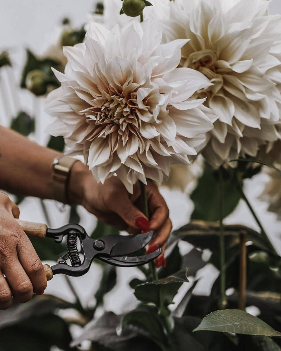 Secateur - by Benson - Swedish Design