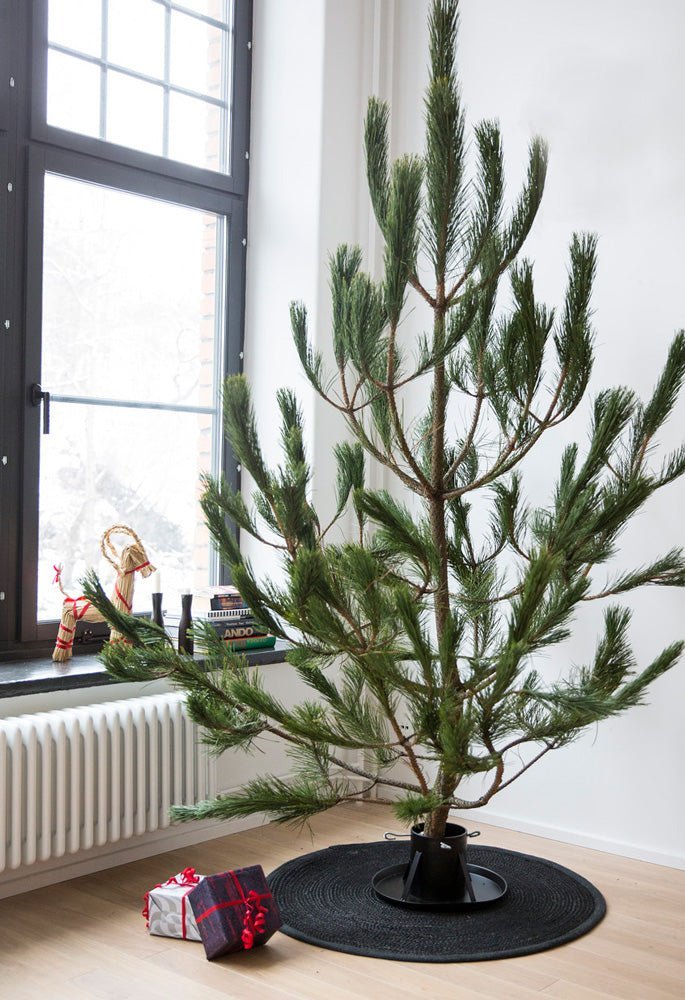 
            
                Lataa kuva gallerian katseluohjelmaan, Christmas Tree Stand Deluxe - by Benson - Swedish Design
            
        
