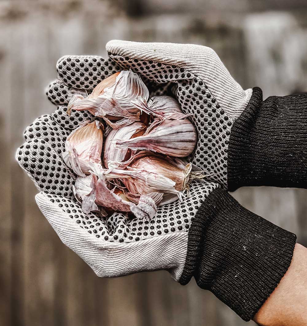 Garden Gloves - Basic - by Benson - Swedish Design