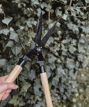 garden hedge scissors Hedge shear Deluxe - Powerful Hedge Trimmer