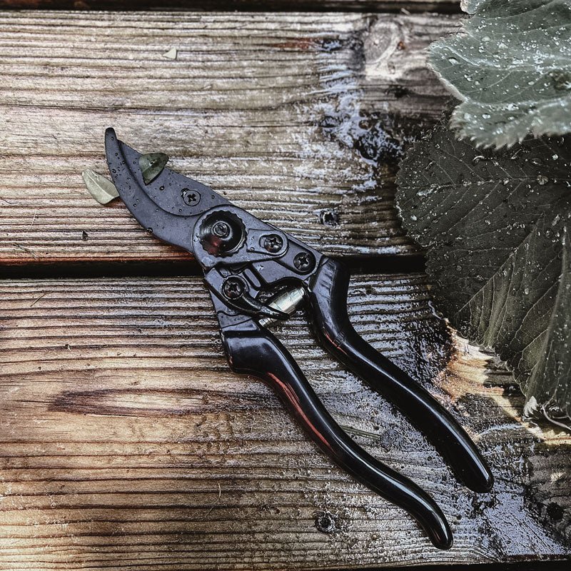 Secateur - by Benson - Swedish Design