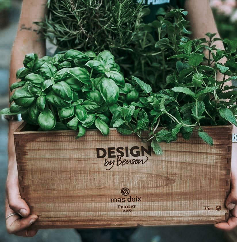 Wine box Priorat - by Benson - Swedish Design